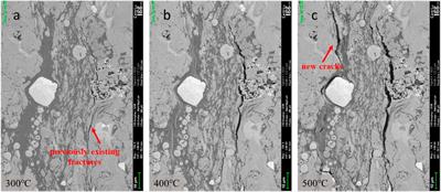 Temperature-Driven Hydrocarbon Generation-<mark class="highlighted">Expulsion</mark> and Structural Transformation of Organic-Rich Shale Assessed by in situ Heating SEM